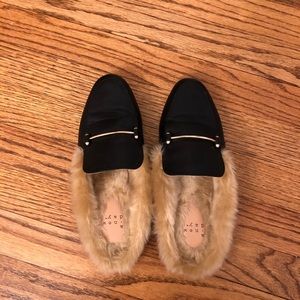 A New Day fur slides